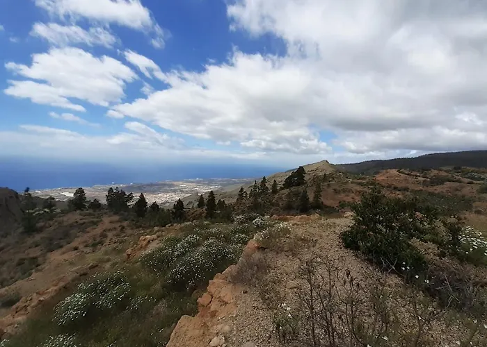 Esperanza * La Cisnera